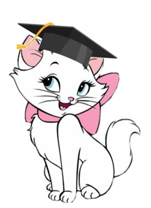 senior يوجد اكثر من شكل