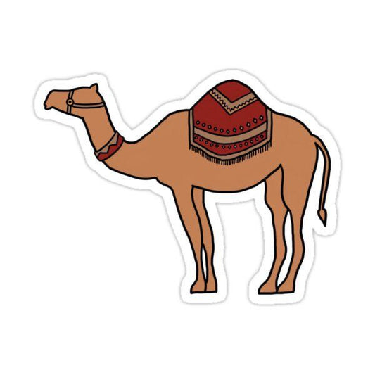 camel