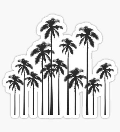palm